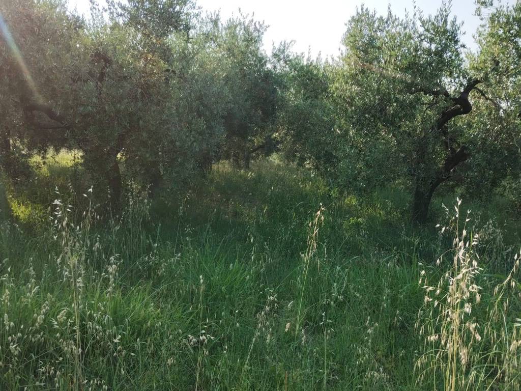 Terreno a Ortona in Via Civiltà del Lavoro - Foto 5