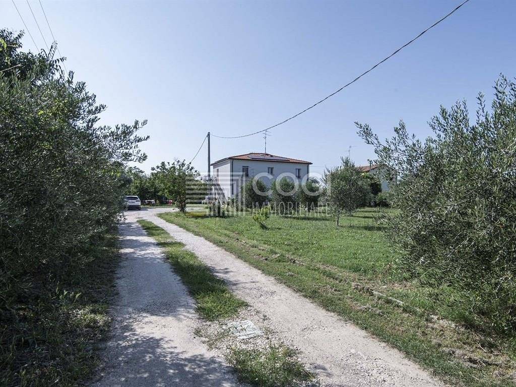 Casa indipendente a Castel bolognese - Foto 2