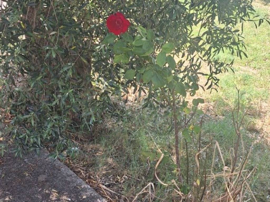 Casa indipendente a Anagni in Strada Comunale Romagnano Fontana Valle - Foto 3