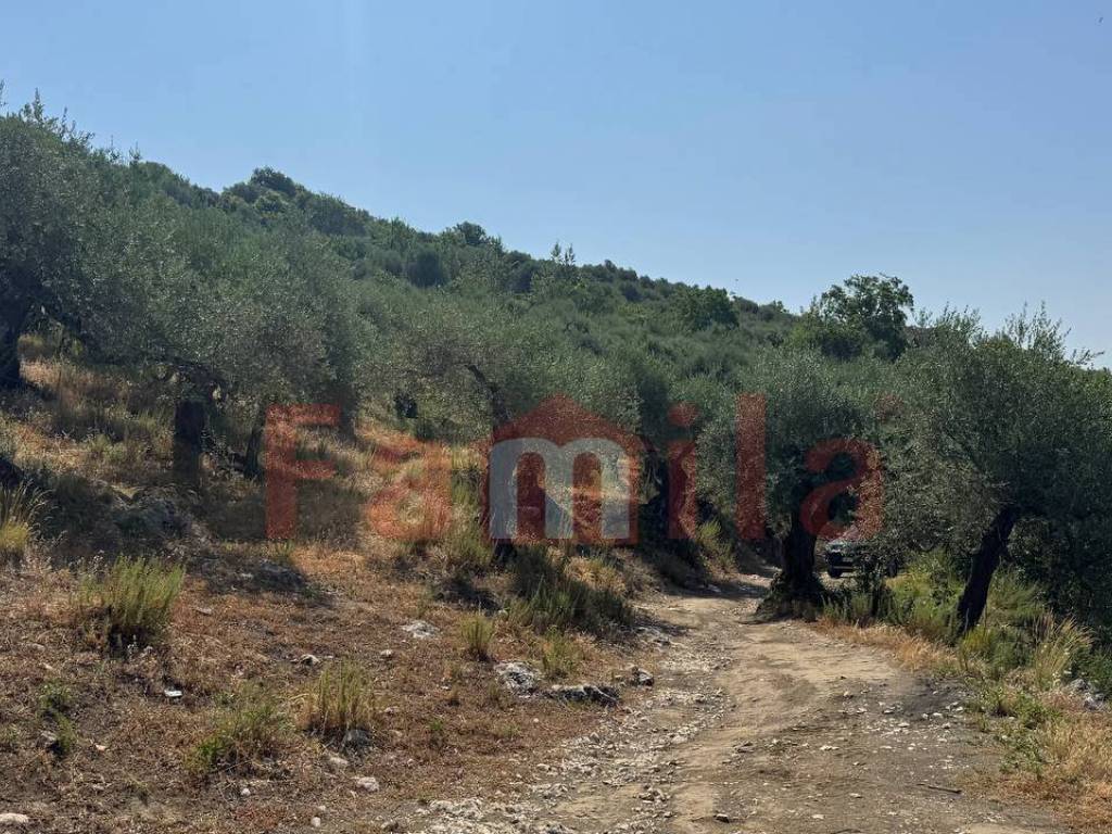 Terreno a Avella - Foto 3