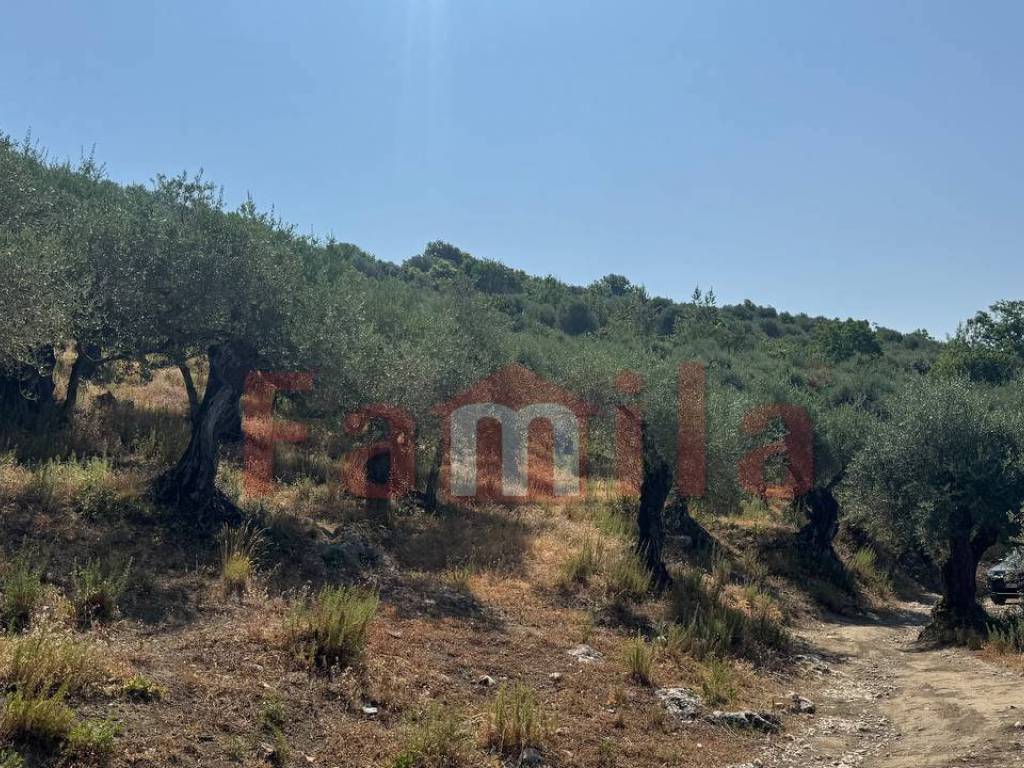 Terreno a Avella - Foto 5