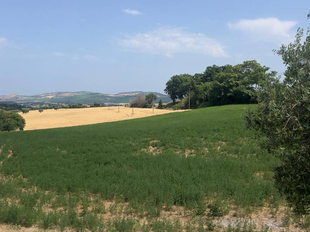 Terreno a Monte urano in Contrada San Lorenzo - Foto 2