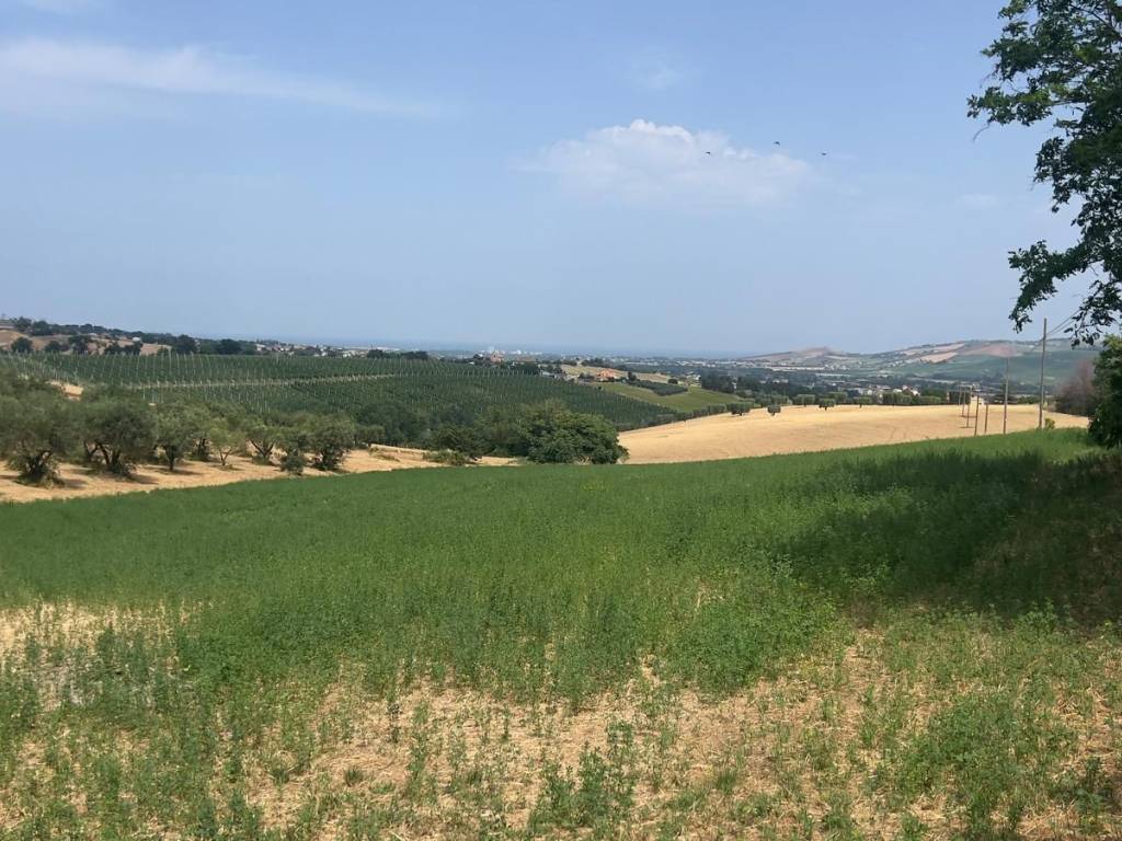 Terreno a Monte urano in Contrada San Lorenzo - Foto 3