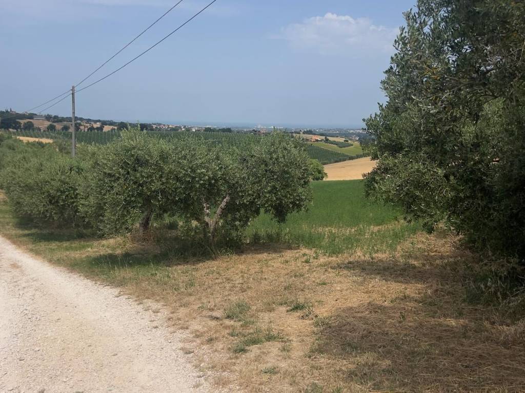 Terreno a Monte urano in Contrada San Lorenzo - Foto 4