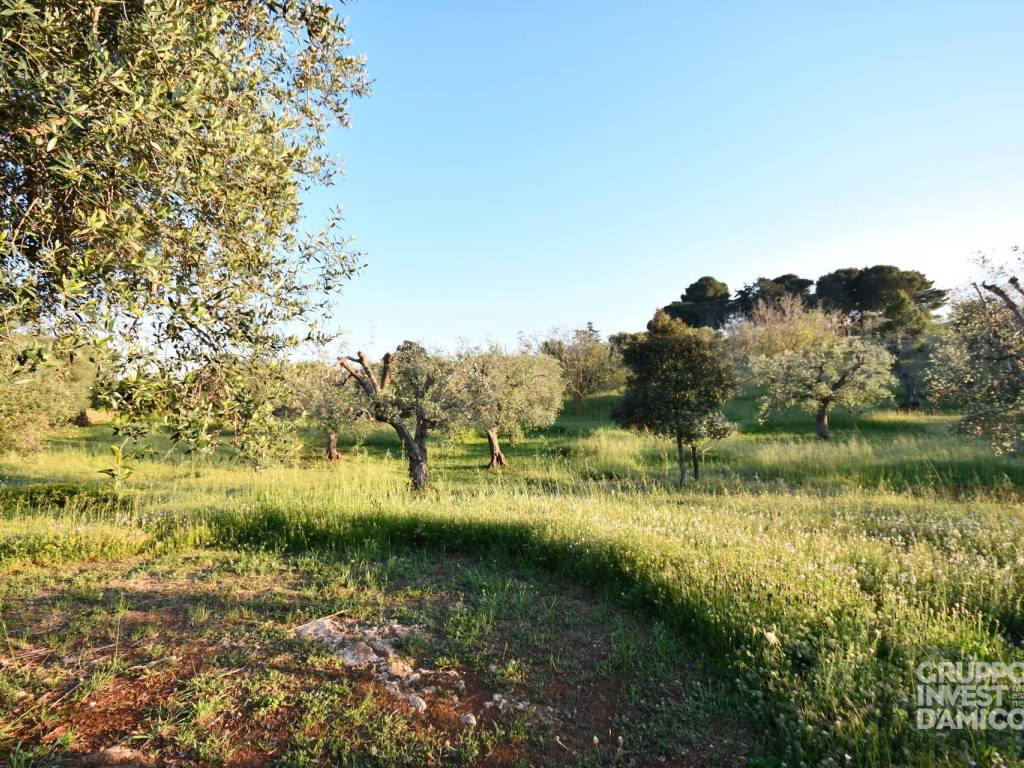 Terreno a Cisternino in Contrada Pistone - Foto 2