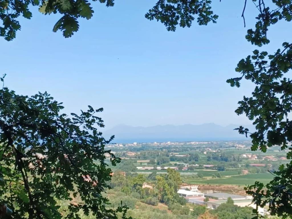 Terreno a Ogliastro cilento in Via Difesa Saccarosio - Foto 5