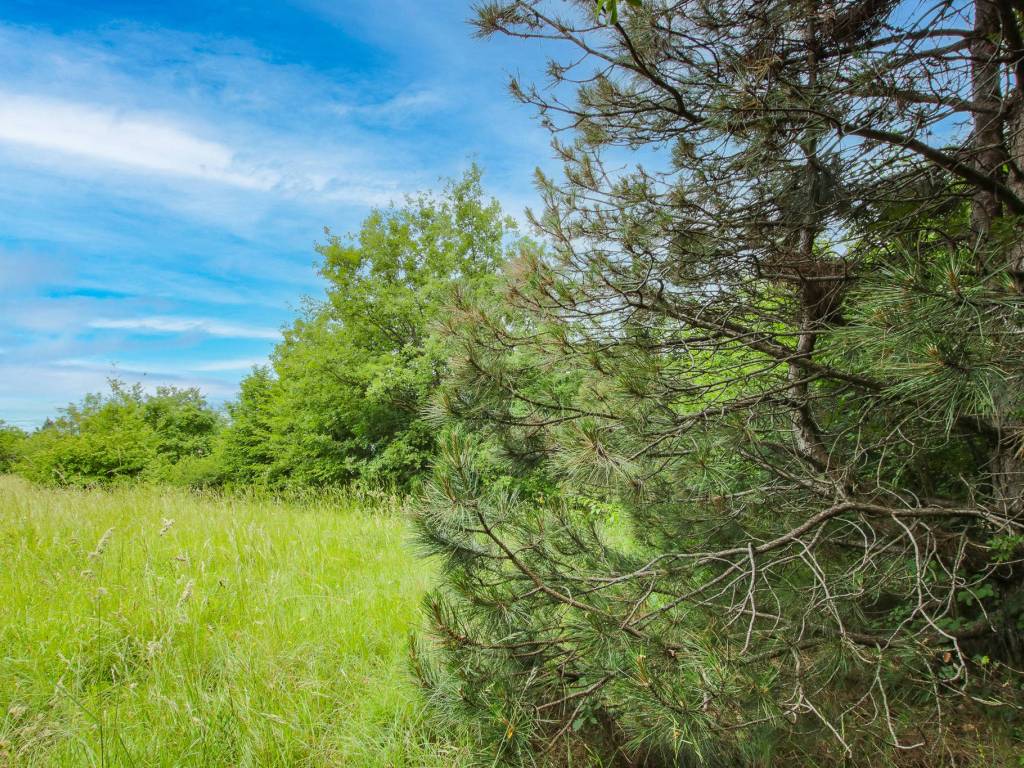 Terreno a Sant'ambrogio di valpolicella in Via Calcarole, 2 - Foto 2