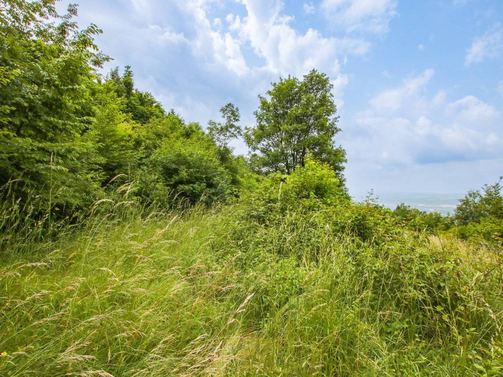 Terreno a Sant'ambrogio di valpolicella in Via Calcarole, 2 - Foto 3