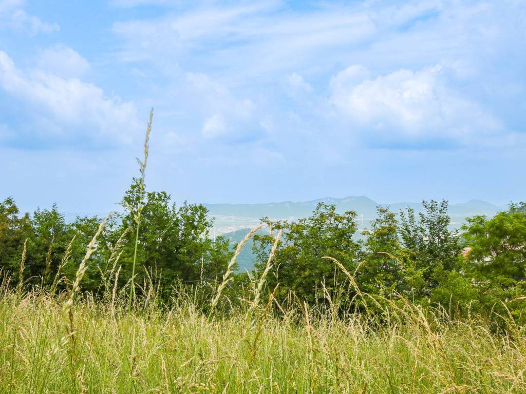 Terreno a Sant'ambrogio di valpolicella in Via Calcarole, 2 - Foto 5