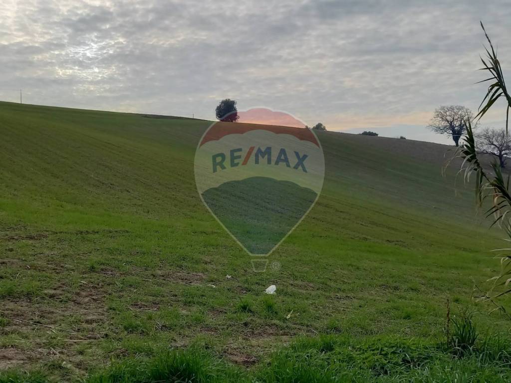 Terreno a Ancona - Foto 3