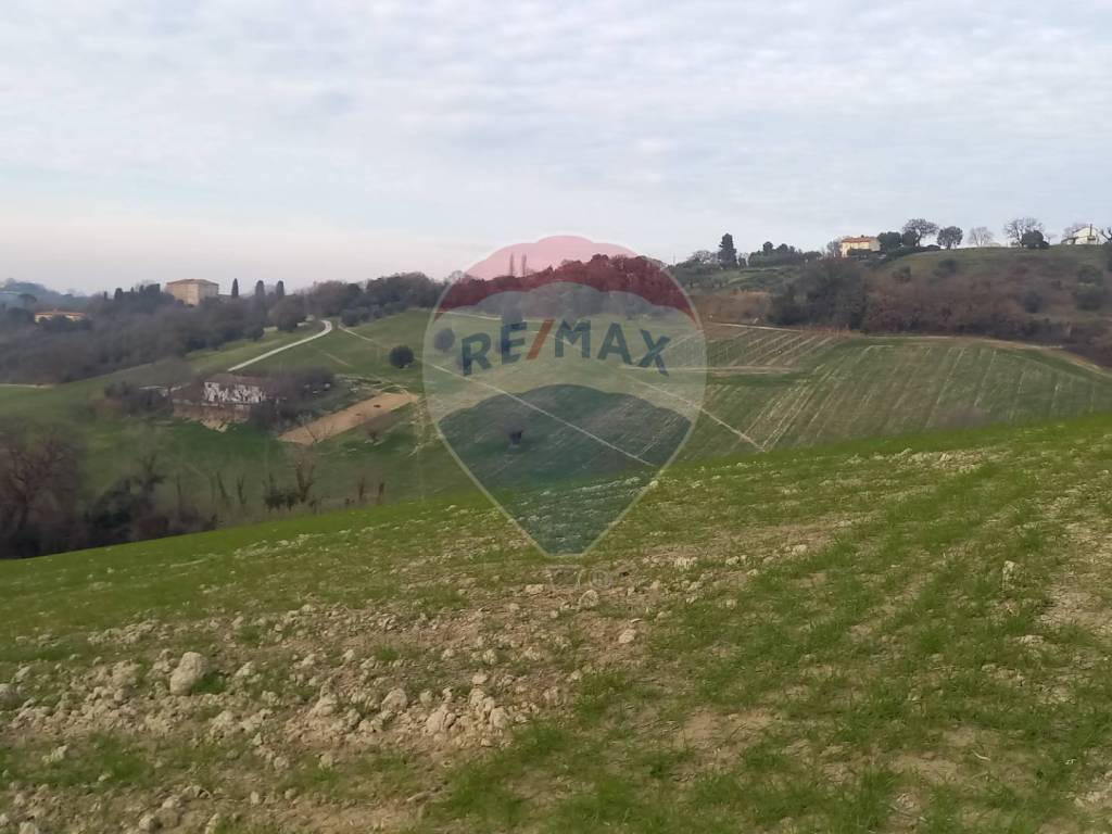 Terreno a Ancona - Foto 4