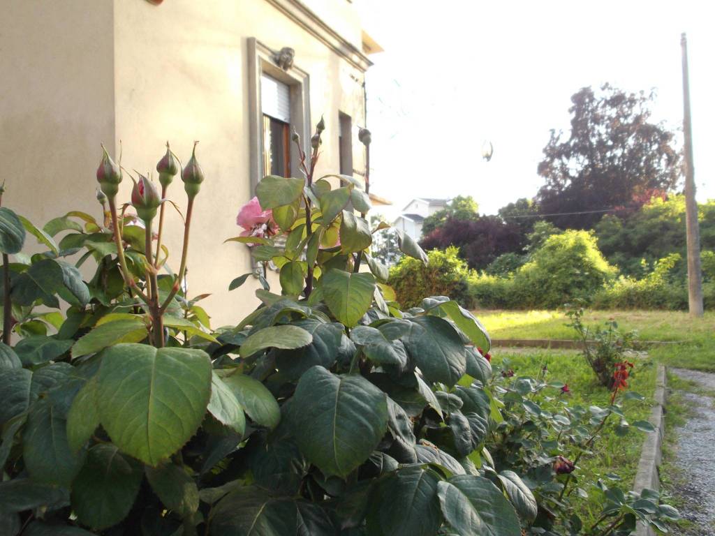 Appartamento a Mondovì in Corso Italia - Foto 2