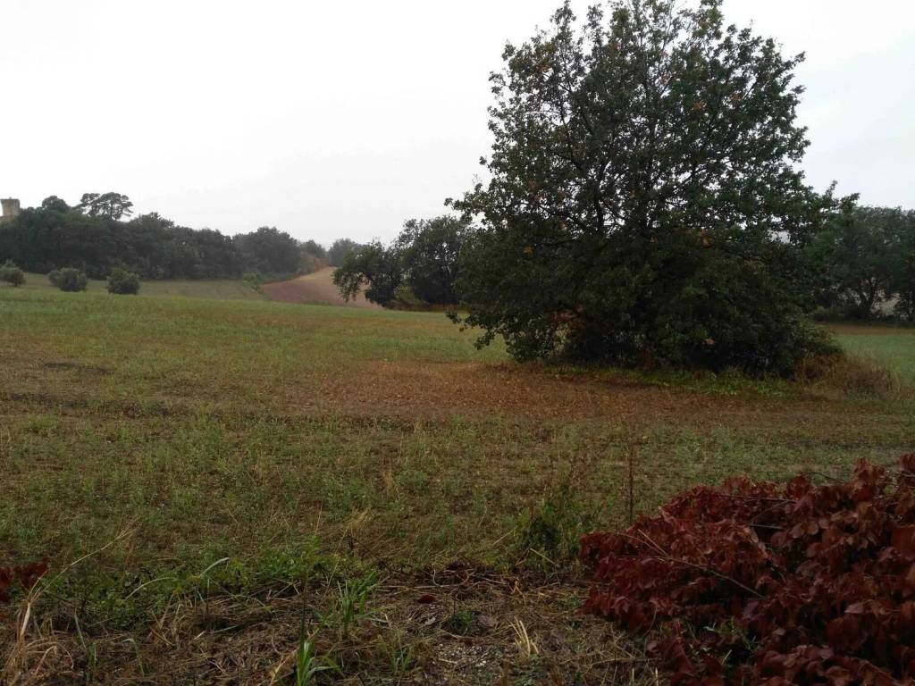 Terreno a Ancona - Foto 3