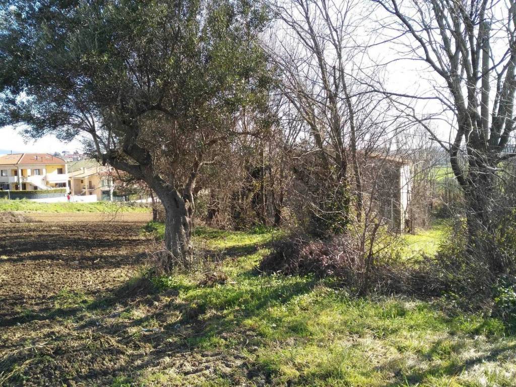 Rustico / casale a Osimo in Via Recanati, 60 - Foto 5