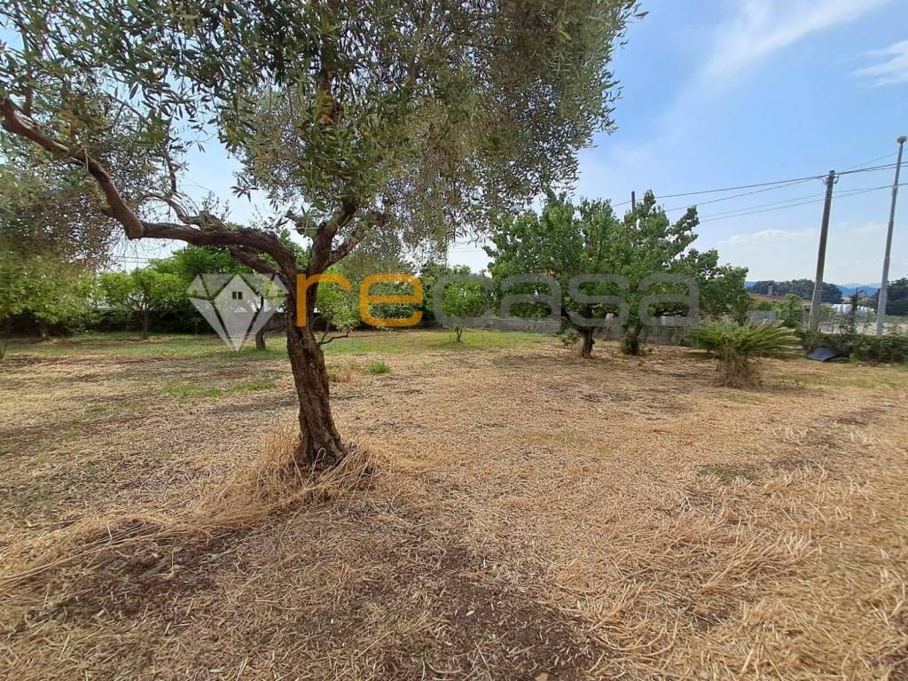 Casa indipendente a Montecorvino pugliano in via Gran Sasso, 1 - Foto 5