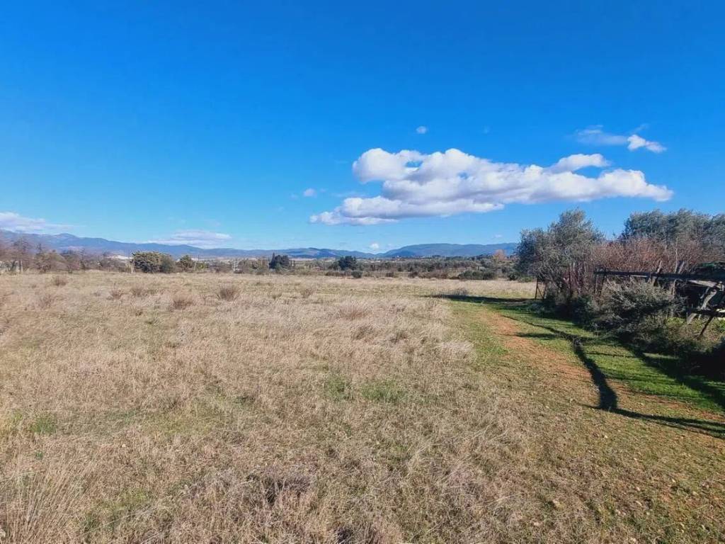 Terreno a Quartu sant'elena - Foto 3