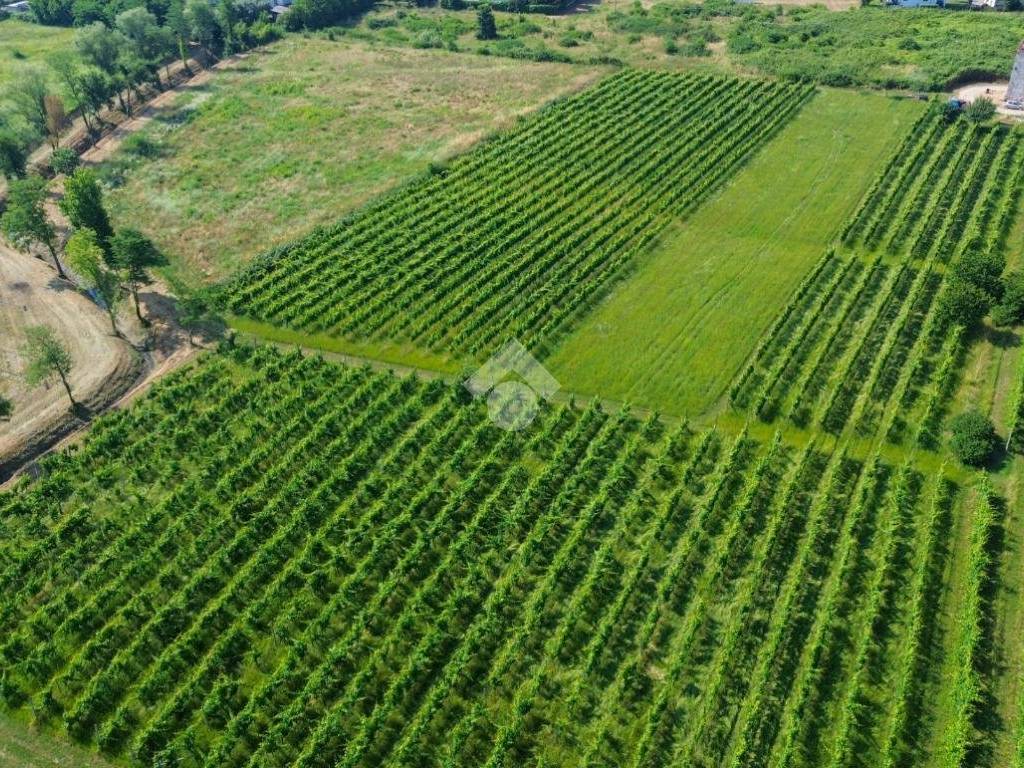 Terreno a Peschiera del garda in Località Lizzara Vecchia - Foto 2