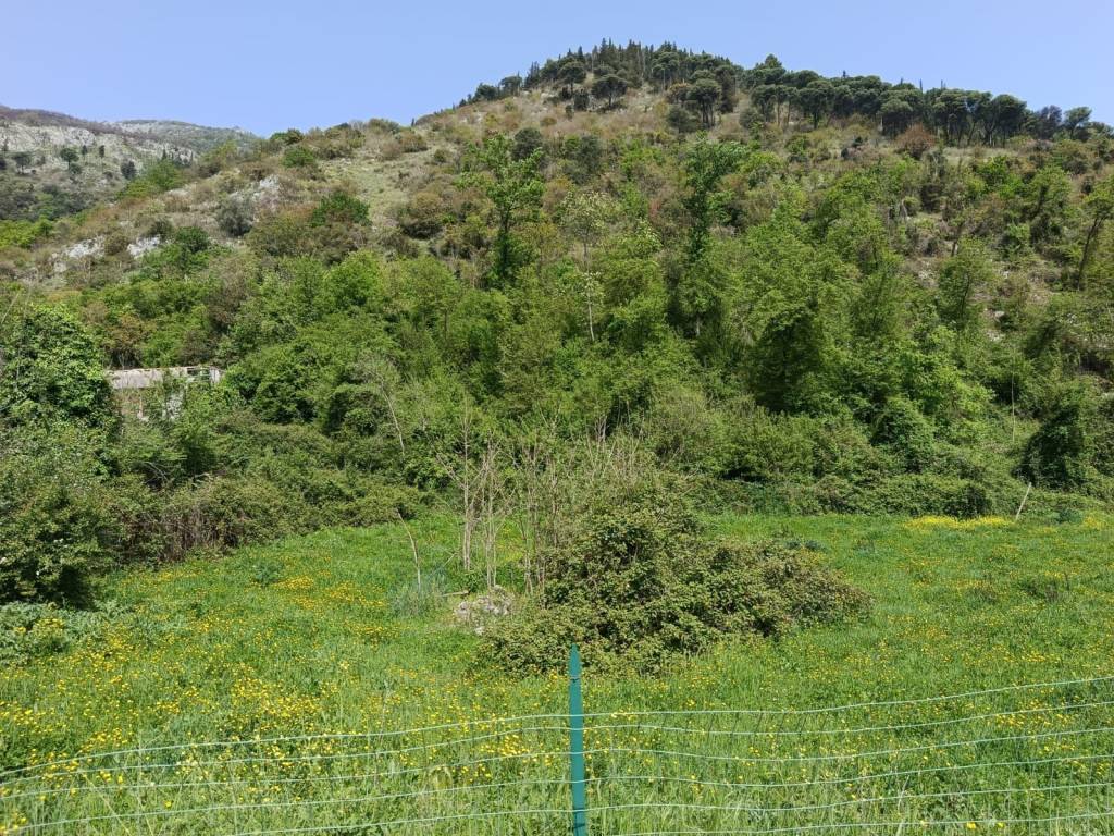 Terreno a Sant'elia fiumerapido in Via Rio Secco - Foto 5