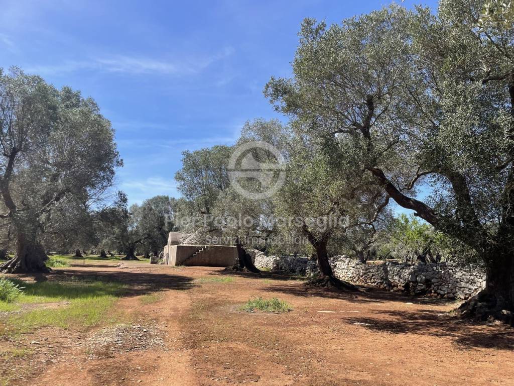 Rustico / casale a San michele salentino in Contrada Talena - Foto 2