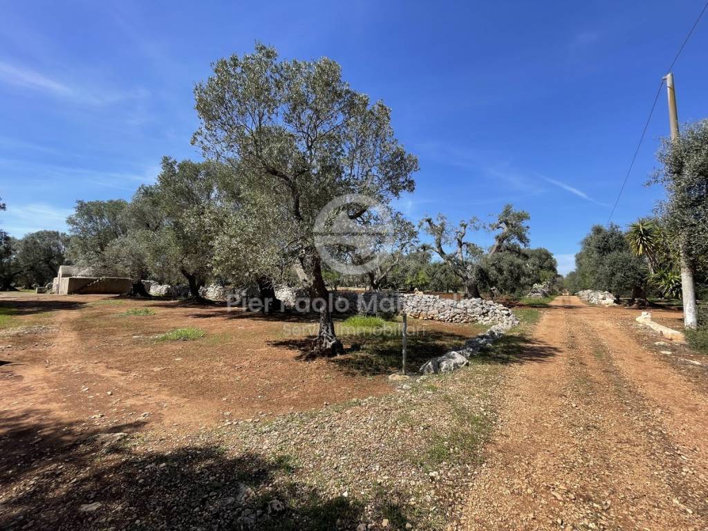 Rustico / casale a San michele salentino in Contrada Talena - Foto 3