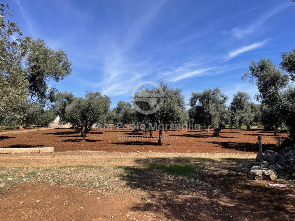 Rustico / casale a San michele salentino in Contrada Talena - Foto 4
