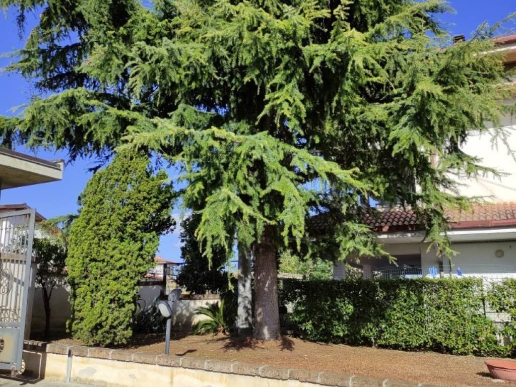 Villa a Rosciano - Foto 3