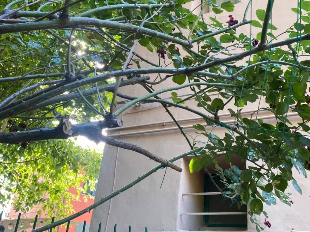 Appartamento a Borgo tossignano - Foto 5