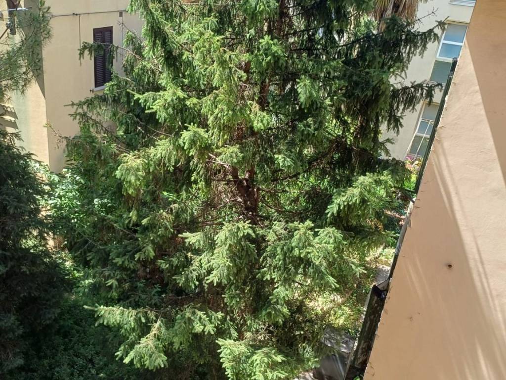 Casa indipendente a Bologna in Via Antonio Zanolini - Foto 2