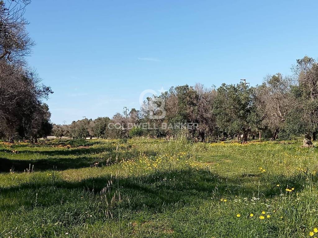Terreno a Carovigno in Contrada Colombo - Foto 2