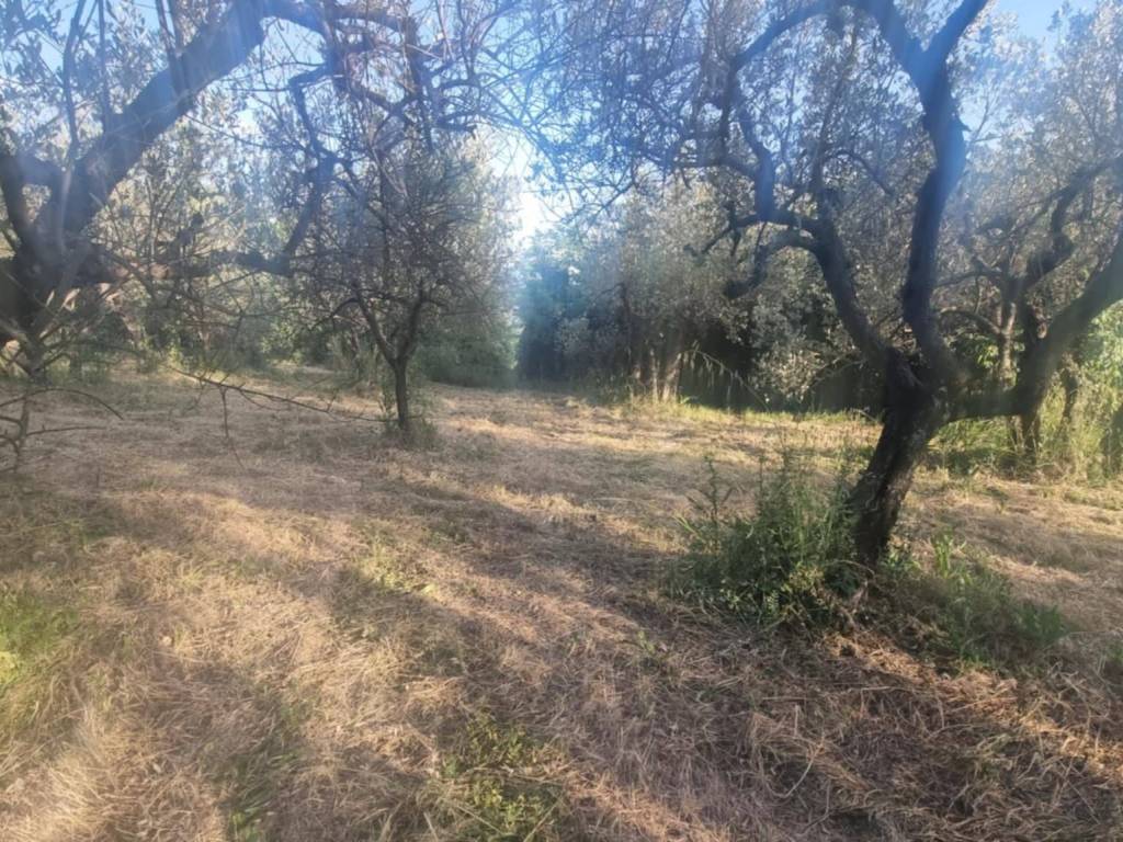 Terreno a Terni in Strada di Bracciale - Foto 2