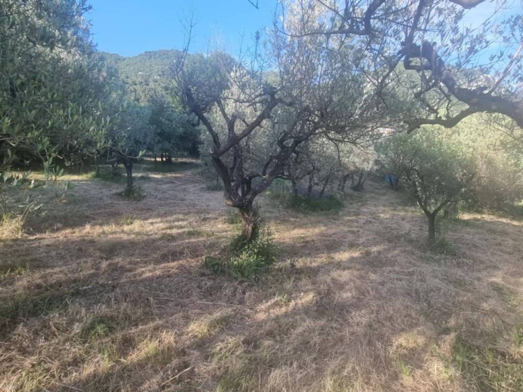 Terreno a Terni in Strada di Bracciale - Foto 3