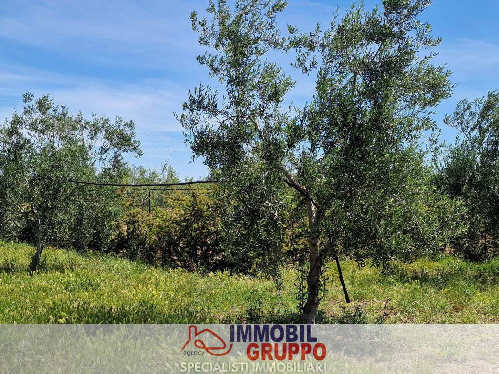 Villa a Andria in Via Santa Lucia - Foto 5