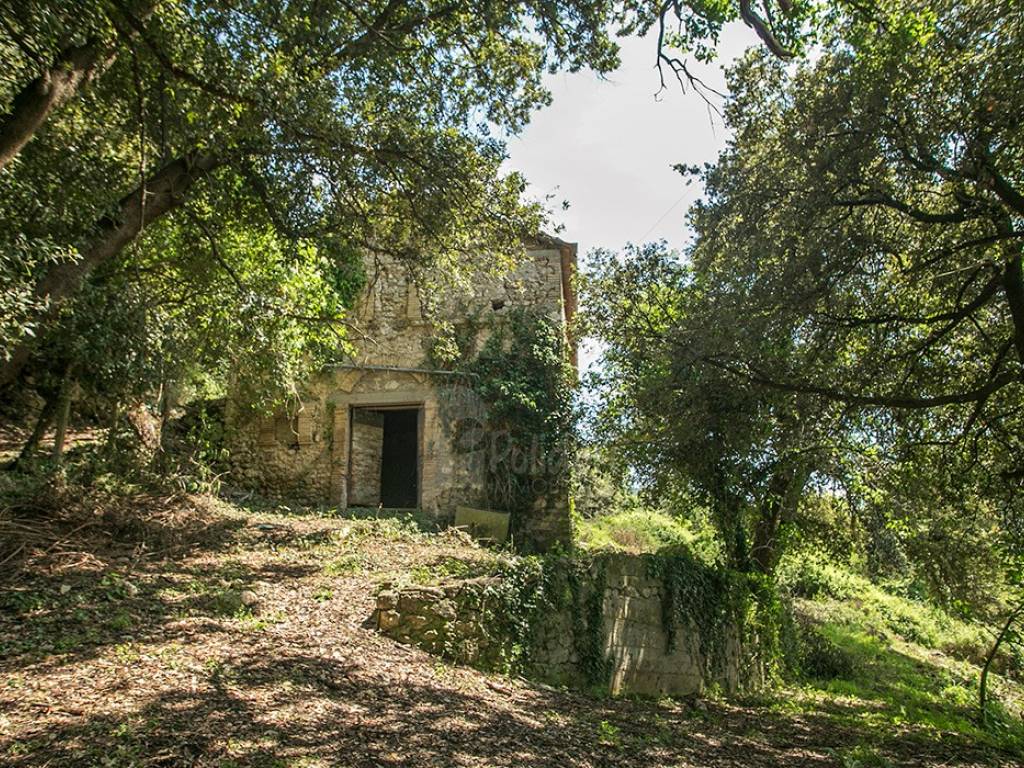 Rustico / casale a Montasola in Via Valle Santi - Foto 2