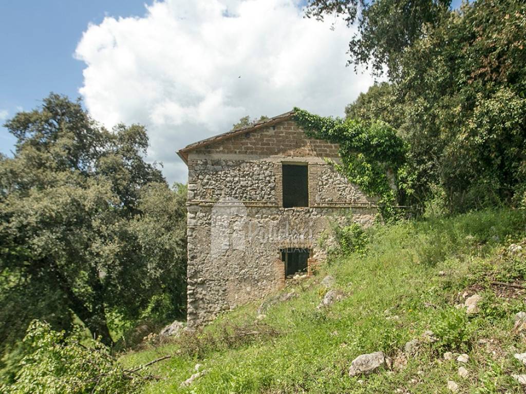 Rustico / casale a Montasola in Via Valle Santi - Foto 4