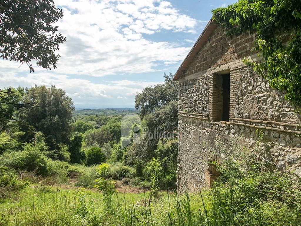 Rustico / casale a Montasola in Via Valle Santi - Foto 5