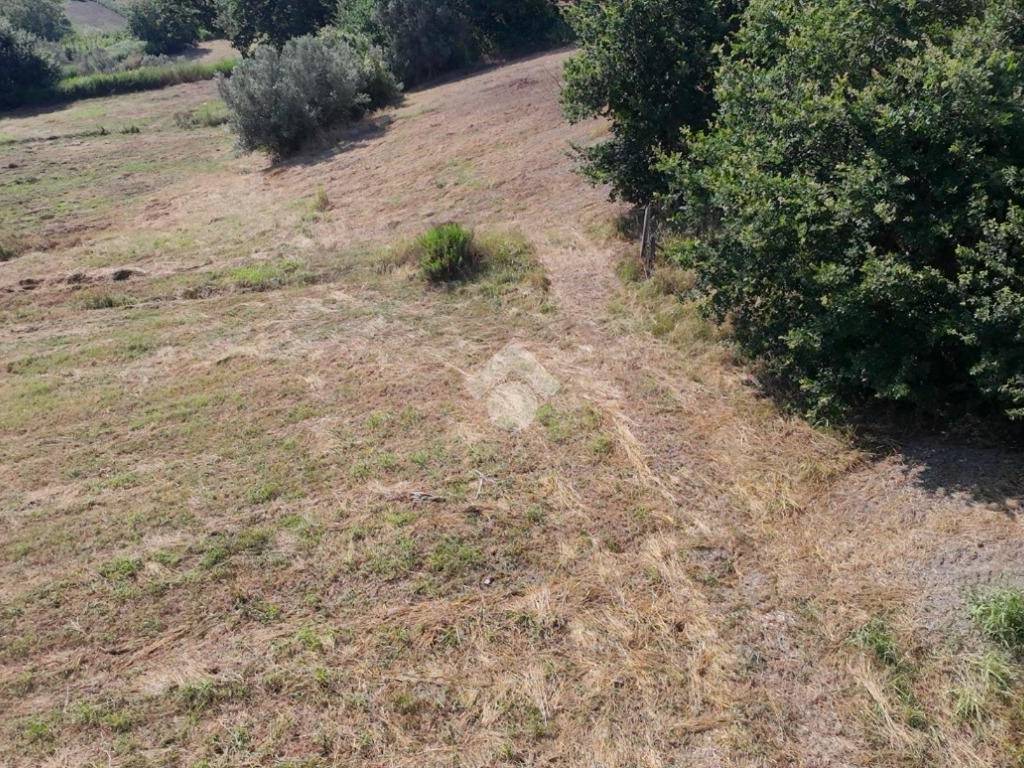 Terreno a San floro in Via Catanzaro - Foto 2