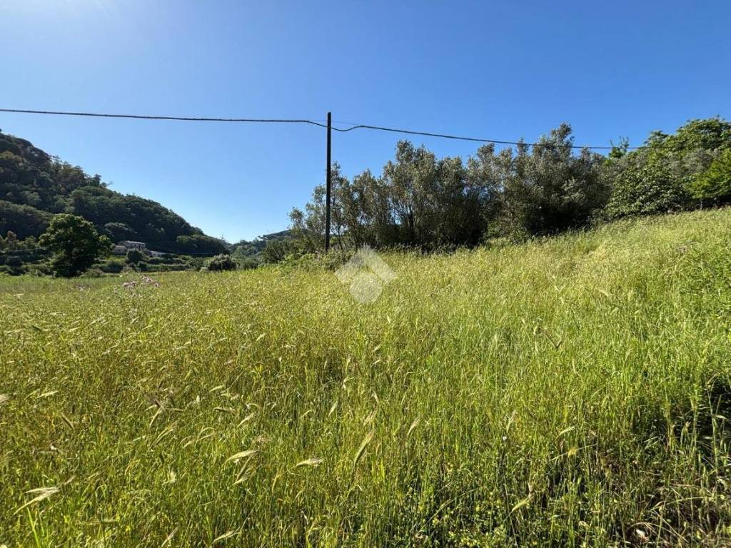 Terreno a San floro in Via Catanzaro - Foto 3