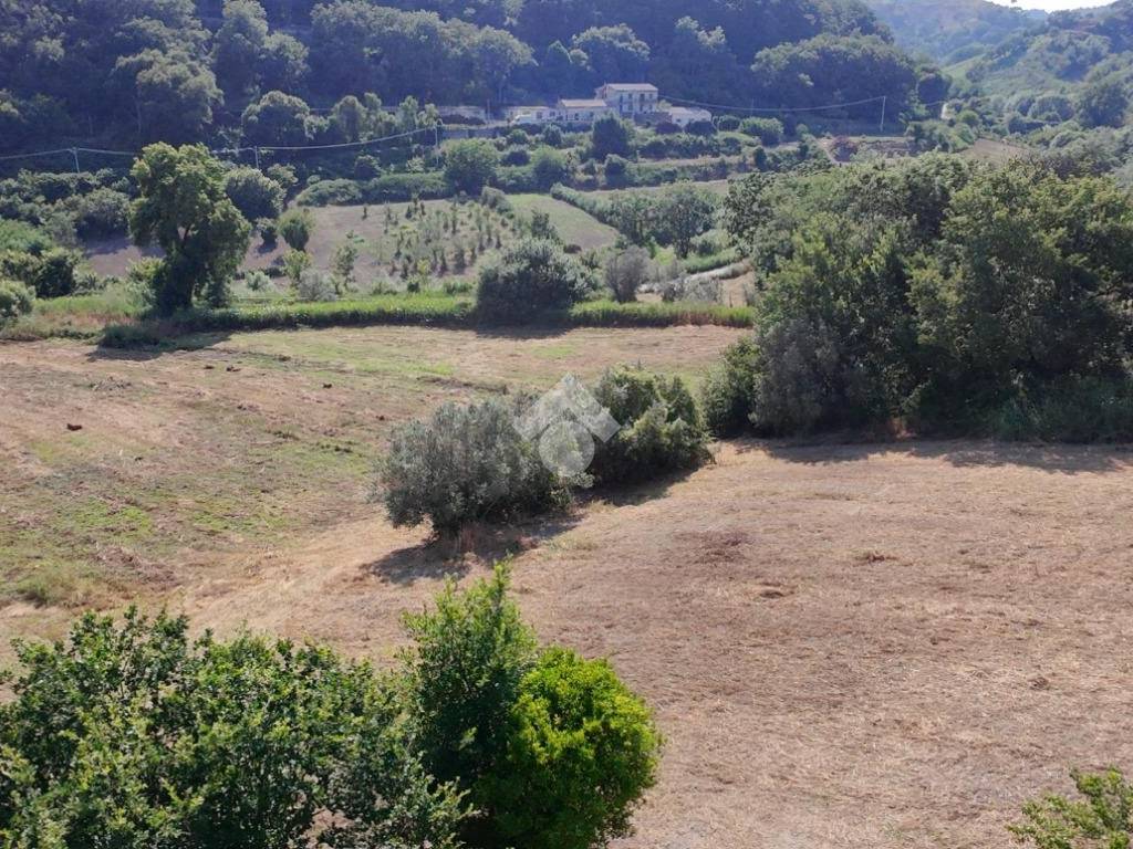 Terreno a San floro in Via Catanzaro - Foto 4
