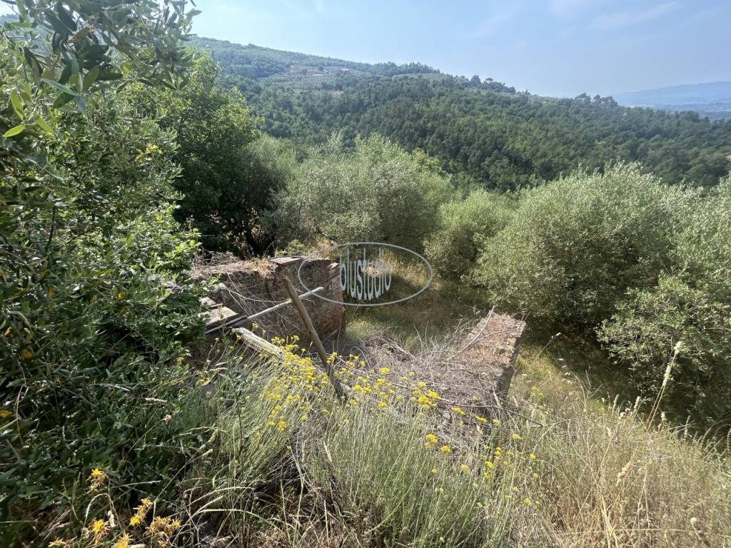 Terreno a Castelfranco piandisco - Foto 3