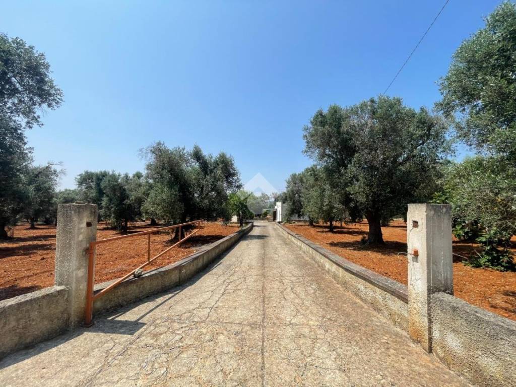 Rustico / casale a Ceglie messapica in Sp 24 - Foto 3