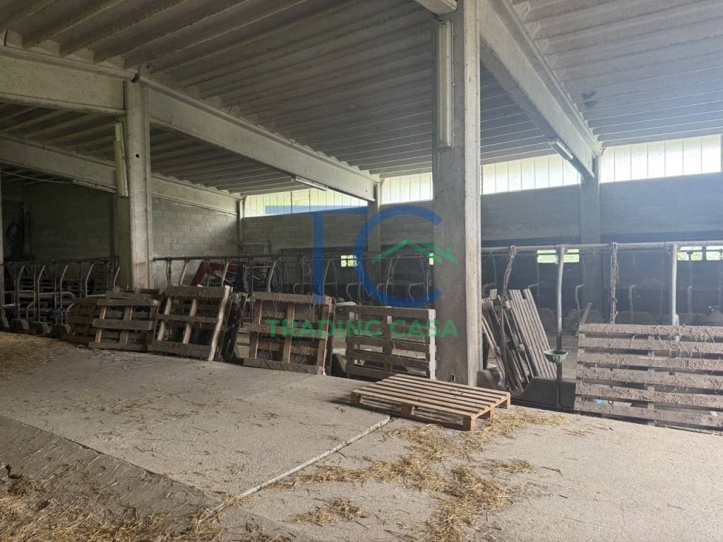 Rustico / casale a Travo in Località Spinello - Foto 3