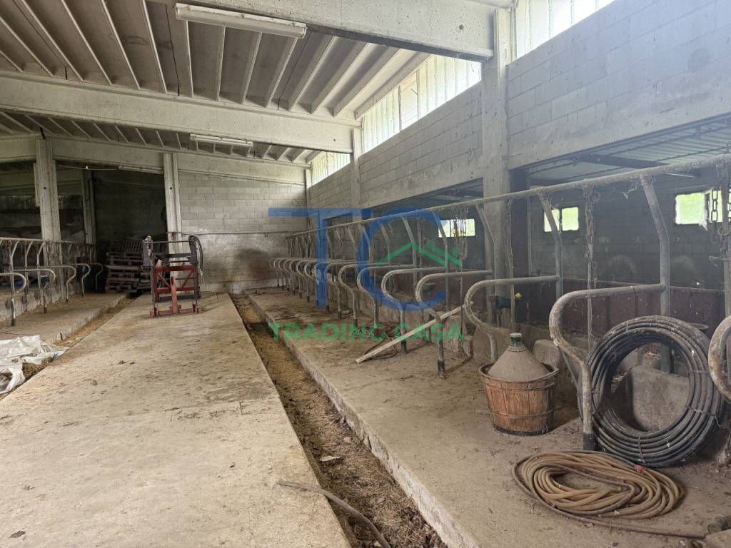 Rustico / casale a Travo in Località Spinello - Foto 5