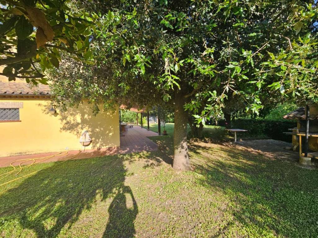 Rustico / casale a Offagna - Foto 4