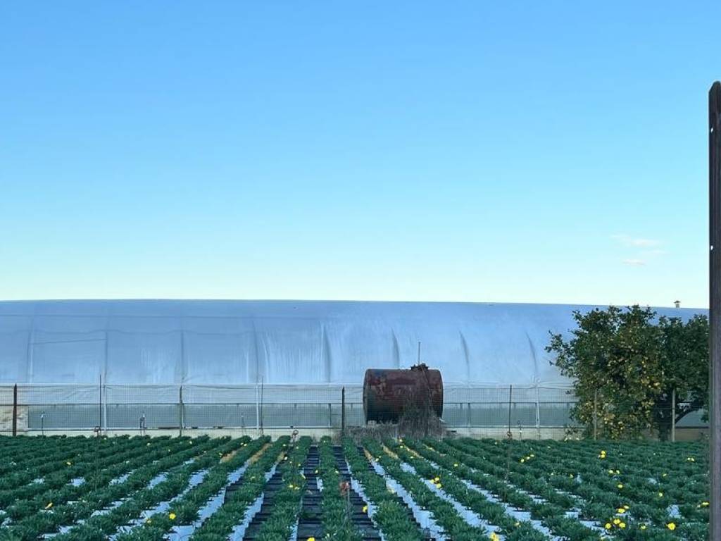 Terreno a Albenga in Regione Antognano - Foto 2