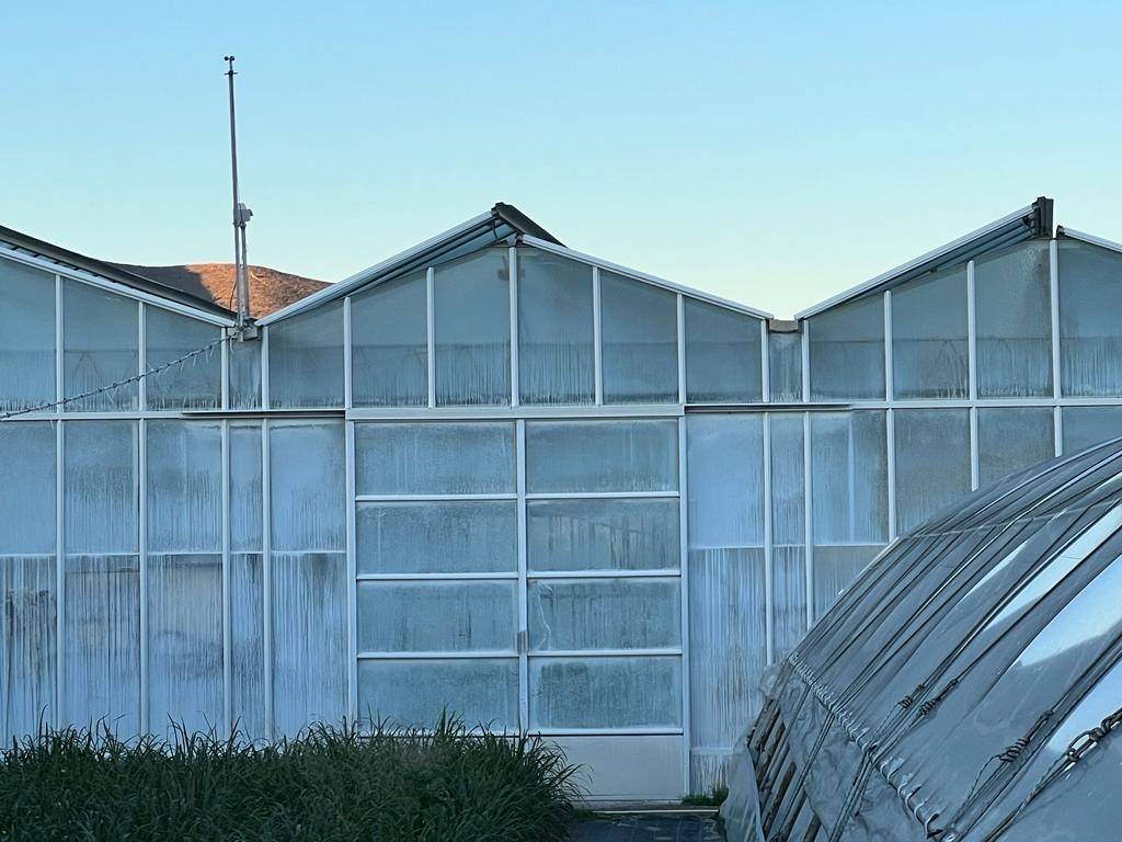 Terreno a Albenga in Regione Antognano - Foto 3