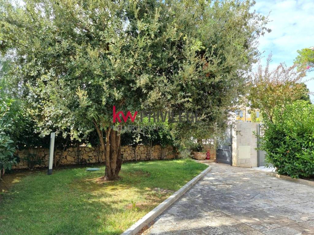Villa a Fasano in Viale del Leccio - Foto 2