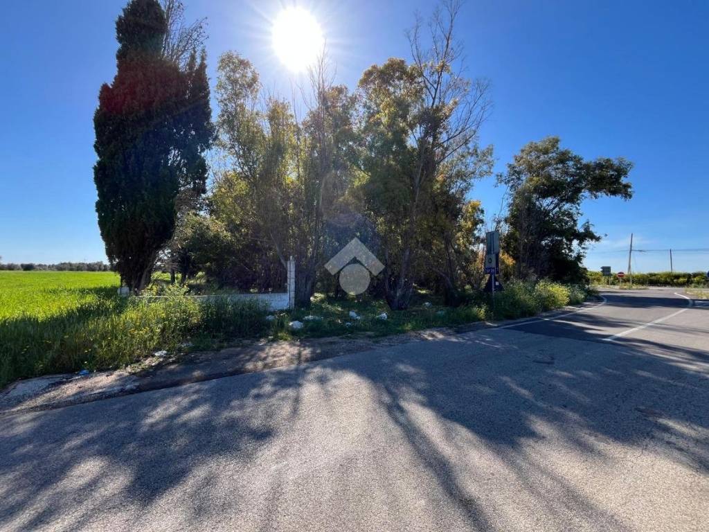 Rustico / casale a Brindisi in SS 16 - Foto 3