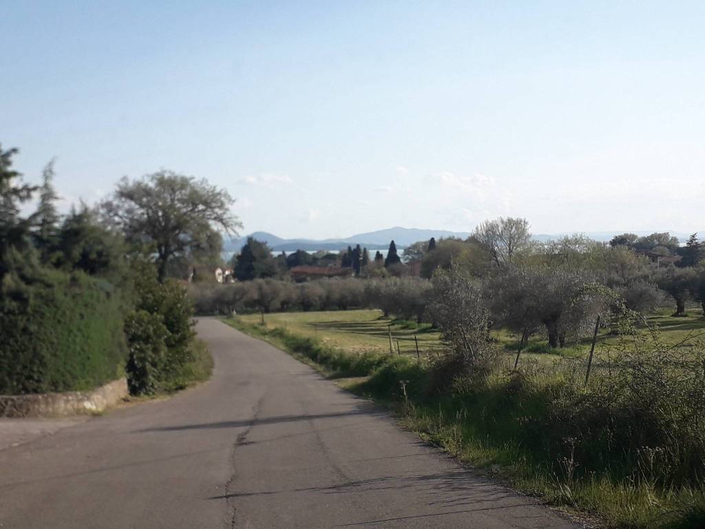 Villa a Passignano sul trasimeno in Via Le Macce - Foto 3