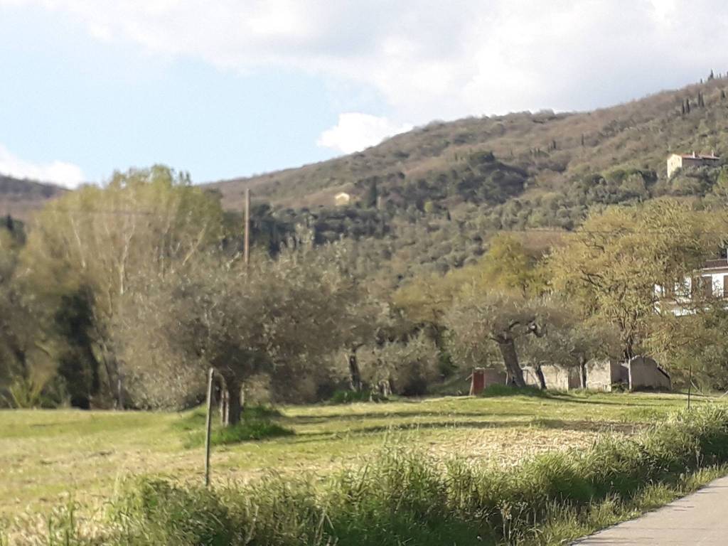 Villa a Passignano sul trasimeno in Via Le Macce - Foto 4