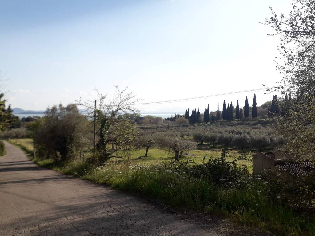 Villa a Passignano sul trasimeno in Via Le Macce - Foto 5